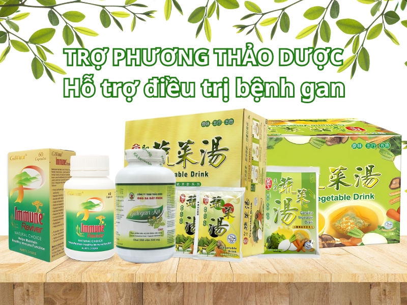 Trợ phương thảo dược hỗ trợ điều trị bệnh gan