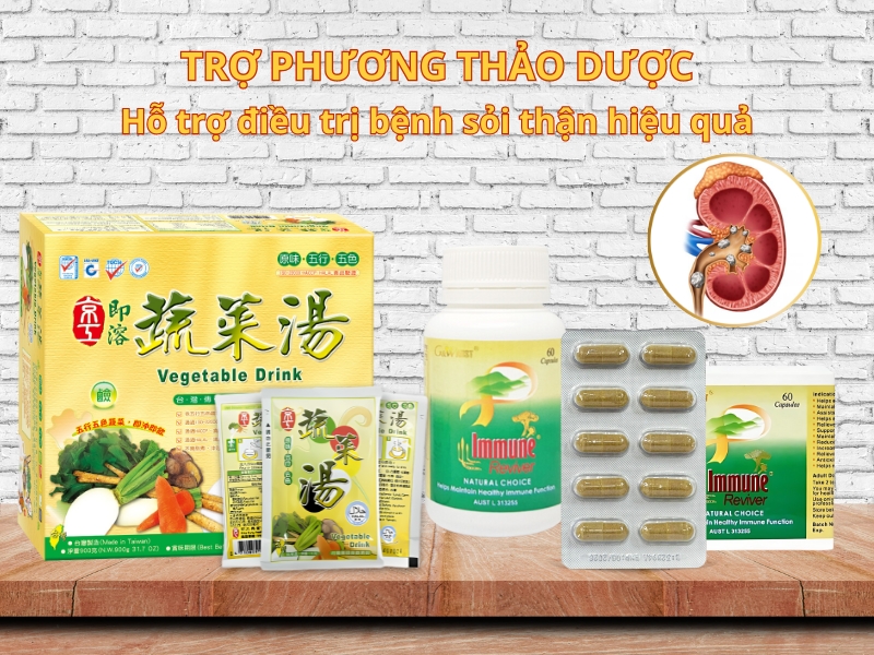 Trợ phương thảo dược hỗ trợ điều trị sỏi thận