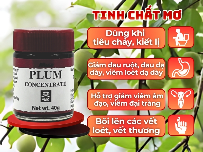 Cách sử dụng tinh chất mơ làm giảm triệu chứng tiêu chảy