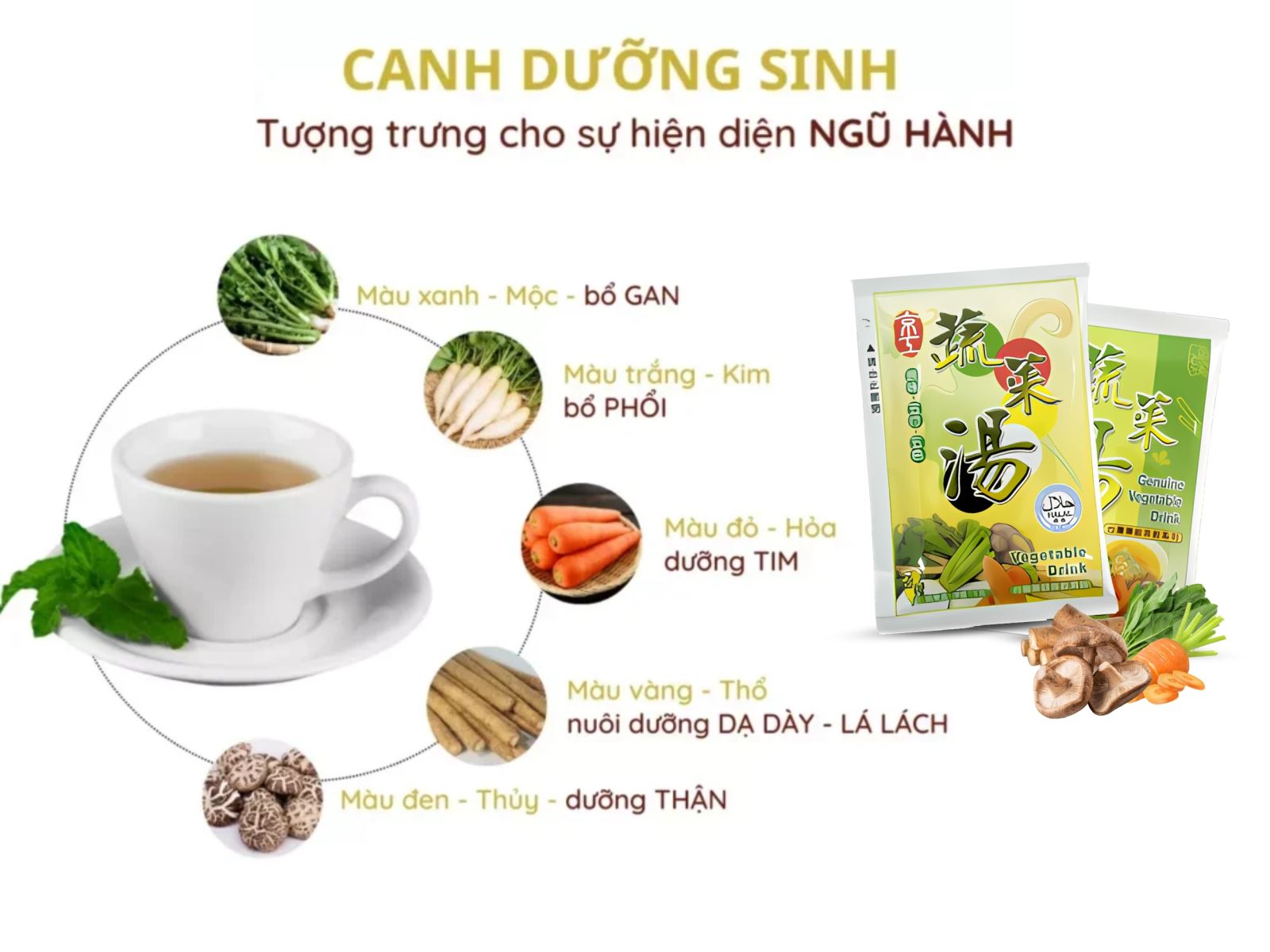 Canh dưỡng sinh là bài thuốc dân gian trị ho có đờm