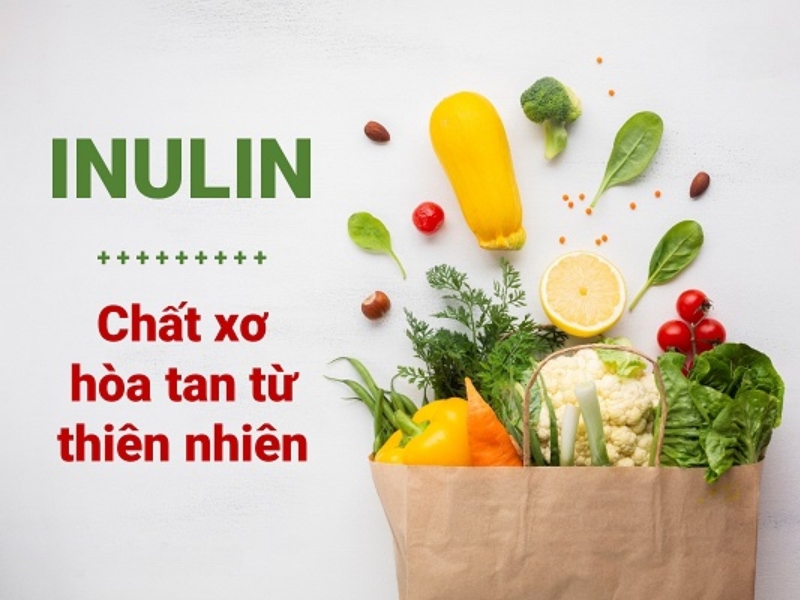 Chế độ ăn Prebiotic