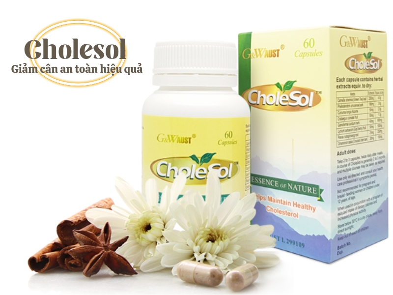 Cholesol - Trợ phương thảo dược hỗ trợ giảm cân, béo phì