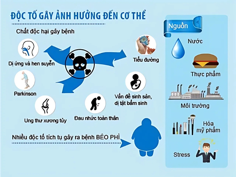 Độc tố gây ảnh hưởng đến cơ thể