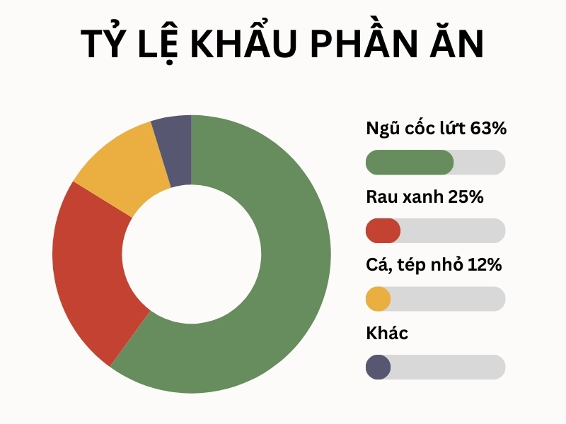 Một bữa ăn lành mạnh gồm có những gì?