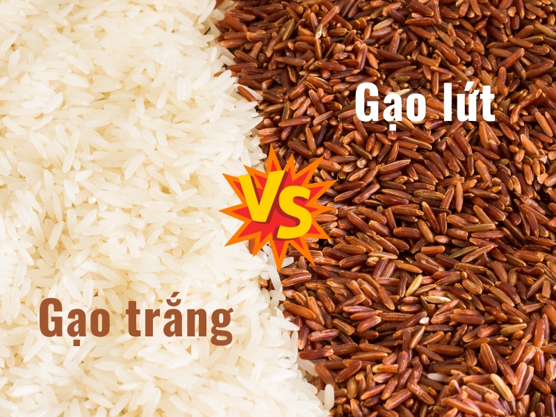 So sánh giá trị dinh dưỡng của gạo lứt và gạo trắng