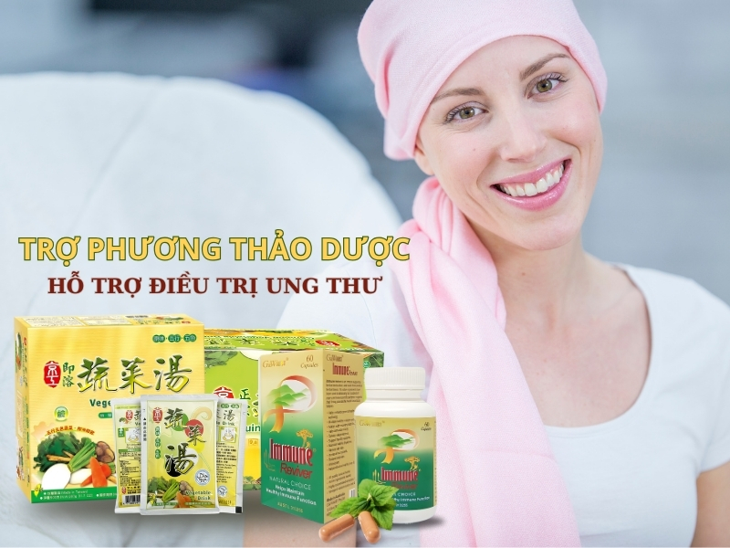 Trợ phương thảo dược hỗ trợ điều trị ung thư