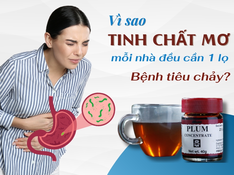 Vì sao tinh chất mơ chua lại chữa được bệnh tiêu chảy?