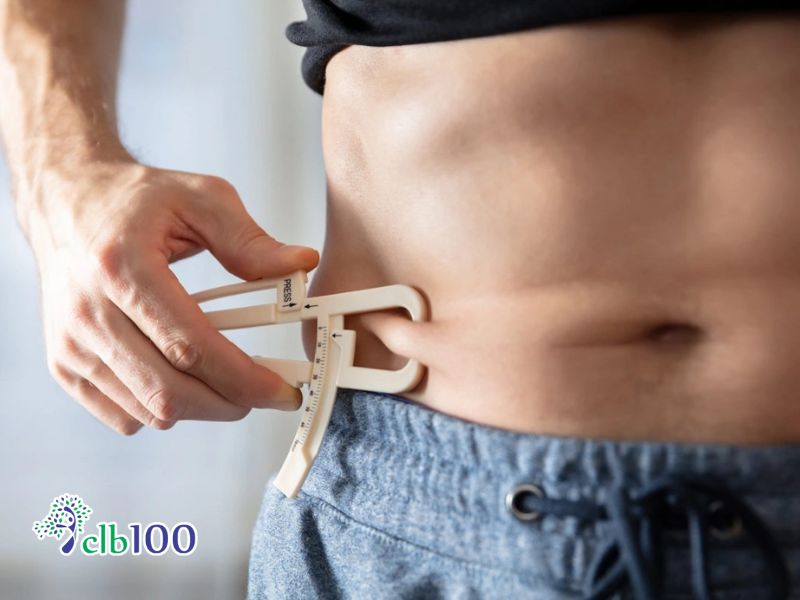 Biến dưỡng chất thành năng lượng, vật liệu xây dựng cơ thể
