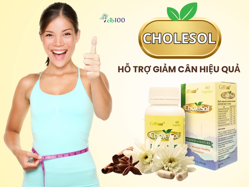 Cholesol - Trợ phương thảo dược hỗ trợ giảm cân hiệu quả