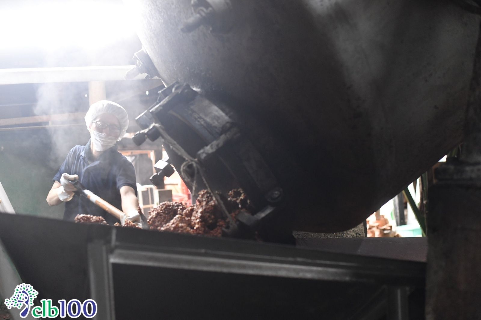 Sự thở của gỗ tuyết tùng và chu trình bốn mùa