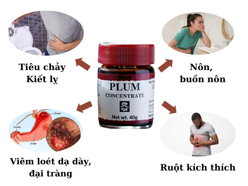 Tinh chất mơ hỗ trợ điều trị viêm loét dạ dày, đại tràng