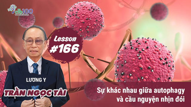  Lesson #166: Sự khác nhau giữa autophagy, tự lực nội sinh và cầu nguyện nhịn đói? 23-02-2026