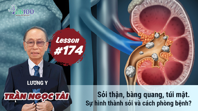 Lesson #174: Sỏi thận, bàng quang, túi mật. Sự hình thành sỏi và cách phòng bệnh? 15-06-2026