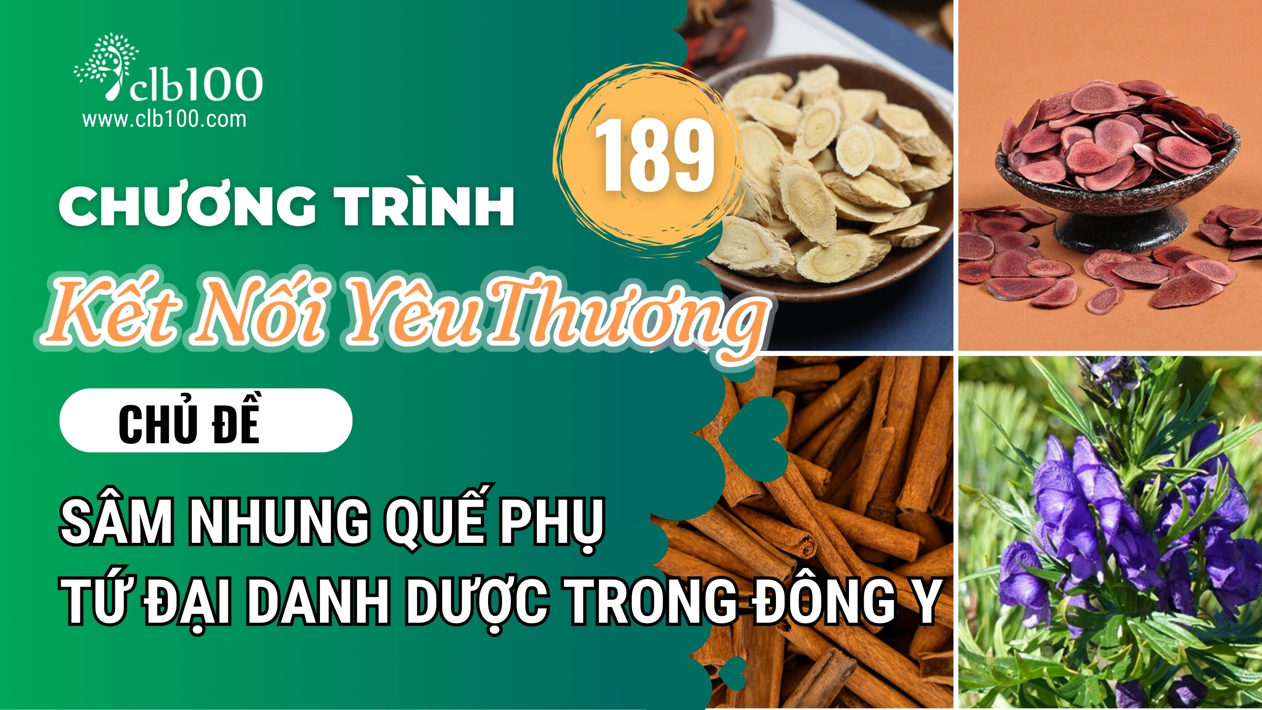 KNYT #189: Tứ Đại Danh Dược – Tinh Hoa Ngàn Năm Giúp Bồi Bổ Khí Huyết Và Cứu Cấp Sinh Mệnh? 12-12-25