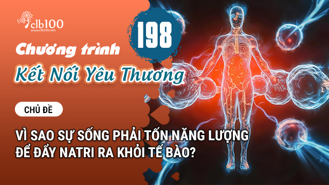  KNYT #198: Cơ thể thích kali nhưng bạn lại ăn toàn natri—tại sao? 06-03-2026