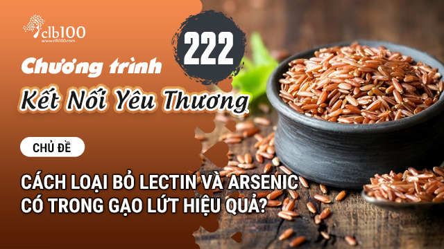 KNYT #222: Cách loại bỏ Lectin và Arsenic có trong gạo lứt hiệu quả? 04-09-2026