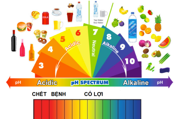 Thực phẩm acid và kiềm trên thang đo pH