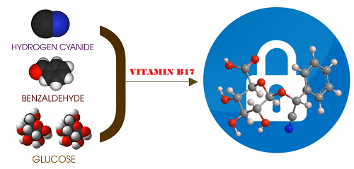 Cấu trúc phân tử Vitamin B17