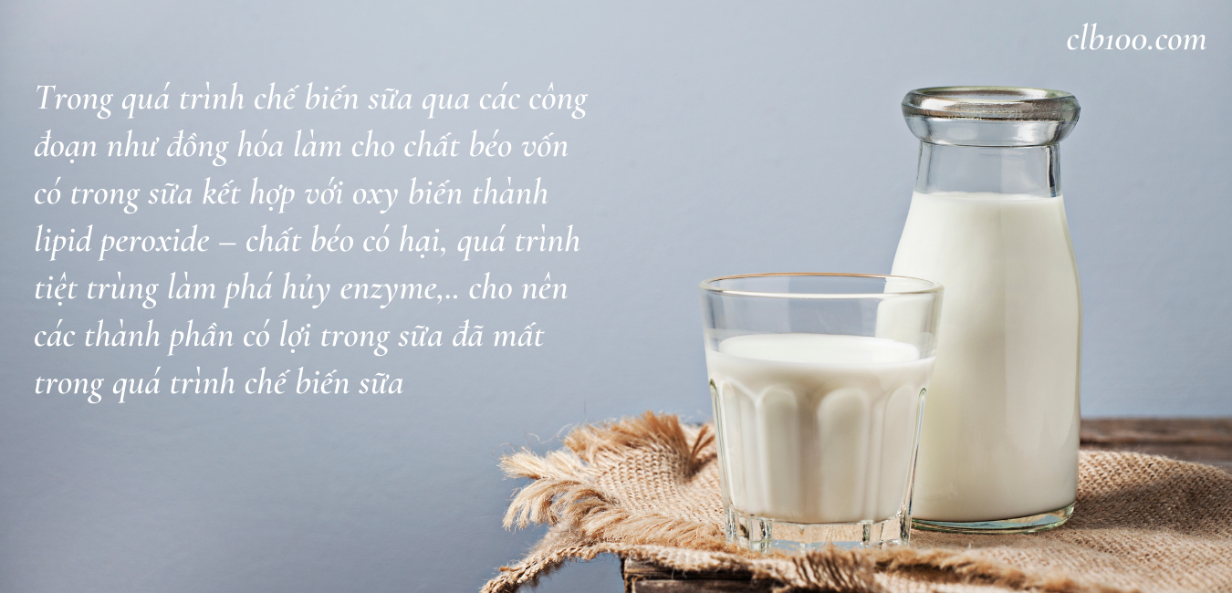 Sữa qua chế biến không có lợi cho cơ thể