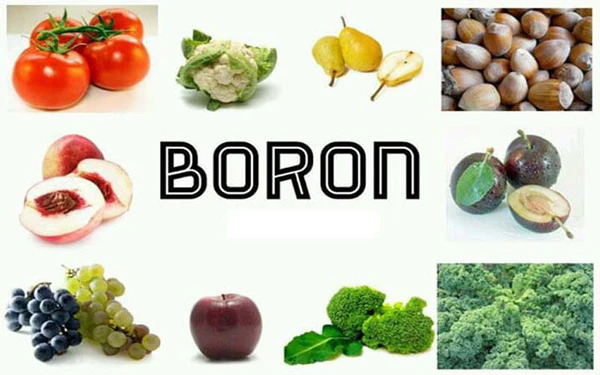 Thiếu hụt Boron có thể làm tăng nguy cơ mắc bệnh viêm khớp