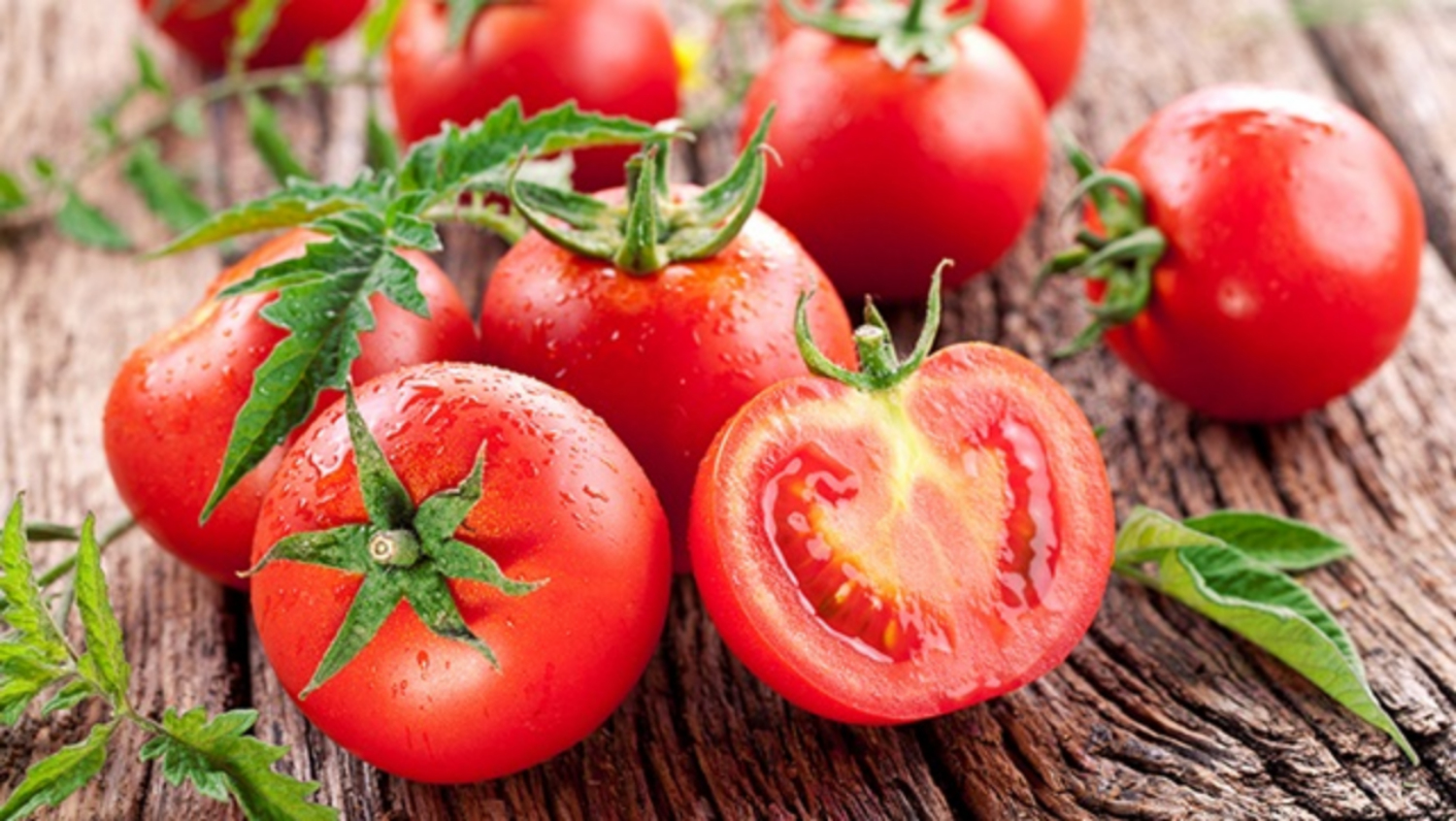 Cà chua chín giàu chất dinh dưỡng